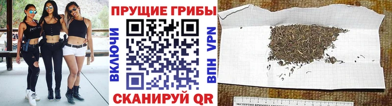 наркошоп  blacksprut как войти  Галлюциногенные грибы Psilocybine cubensis  Москва 